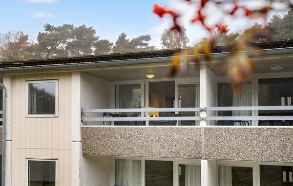 Apartament - Dueodde , Dania - I51403 82