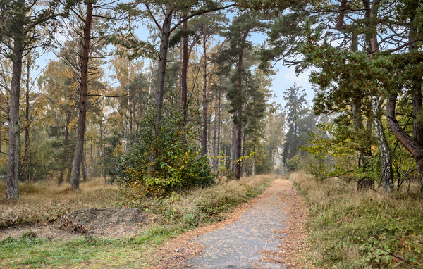 Apartament - Dueodde , Dania - I51403 101