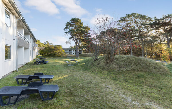 Ferieleilighet - Dueodde , Danmark - I51404 8