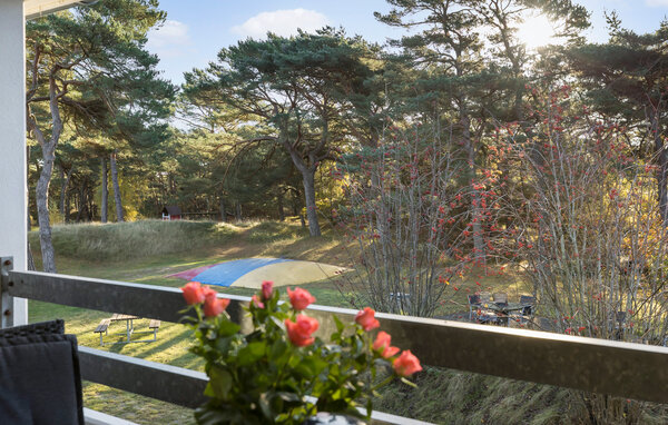 Ferieleilighet - Dueodde , Danmark - I51404 2