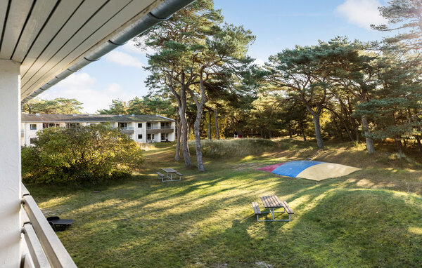 Ferienwohnung - Dueodde , Dänemark - I51405 3