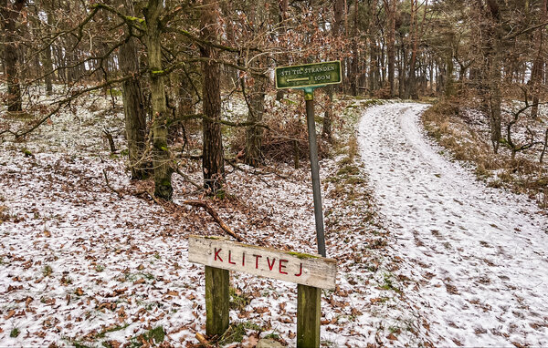 Feriehus - Dueodde , Danmark - I51669 901