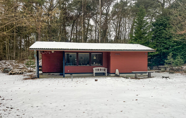 Feriehus - Dueodde , Danmark - I51669 82