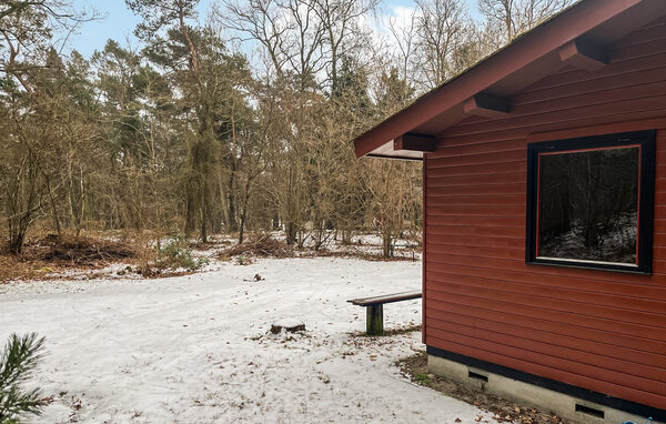 Feriehus - Dueodde , Danmark - I51669 2