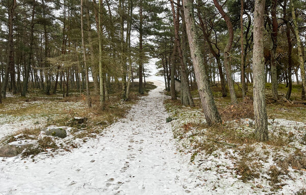 Feriehus - Dueodde , Danmark - I51669 201