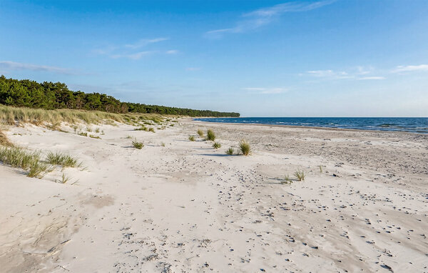 Feriehuse - Dueodde , Danmark - I51881 909