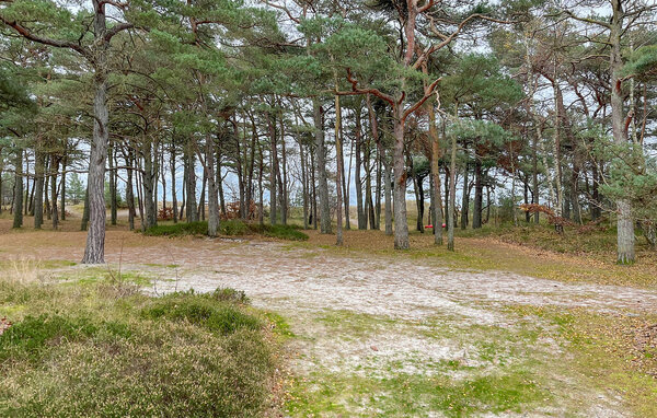 Feriehuse - Dueodde , Danmark - I51881 911