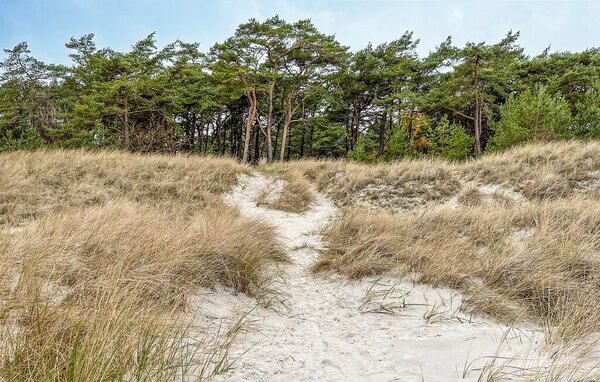 Feriehuse - Dueodde , Danmark - I51881 916