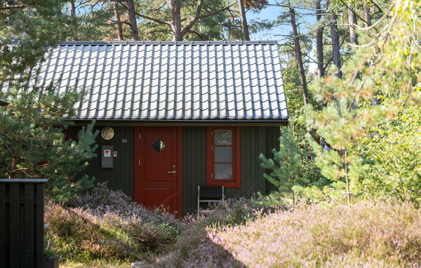 Feriehuse - Dueodde , Danmark - I51945 101