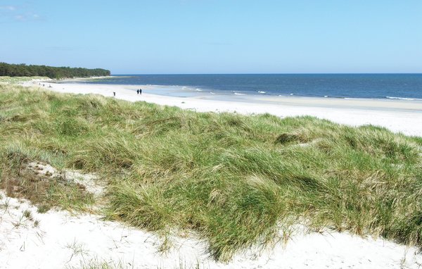 Semesterhus - Vestre Sømark , Danmark - I52634 901