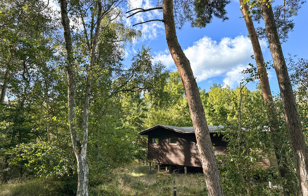 Vakantiehuis - Boderne , Denemarken - I53091 103