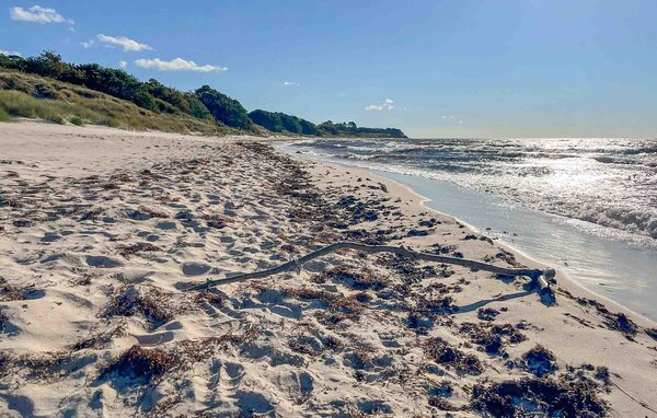 Feriehus - Østre Sømark , Danmark - I54666 901