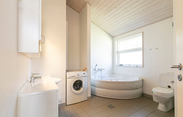 Ferienhaus Rubinsøen Skovhus