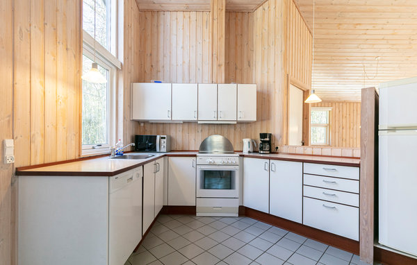 Ferienhaus Rubinsøen Skovhus