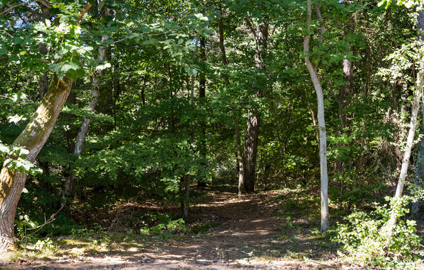 Location de vacances - Hasle , Danemark - I55411 101