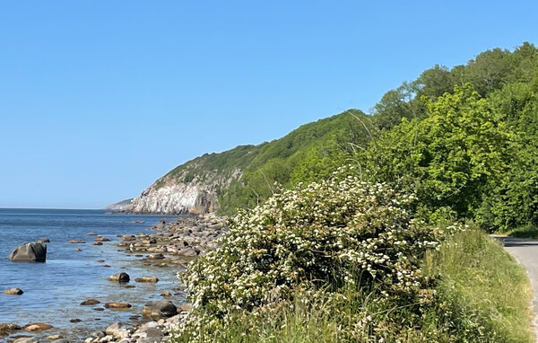 Semesterhus - Teglkaas , Danmark - I55516 902