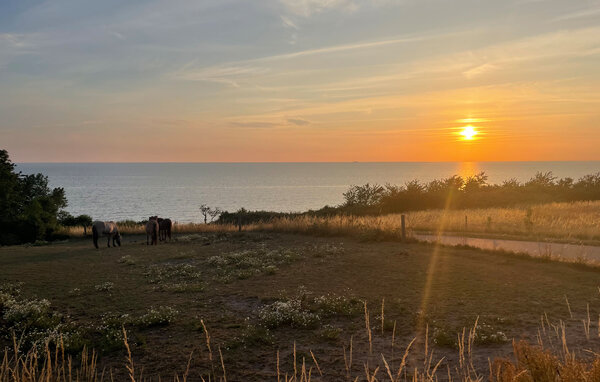Semesterhus - Teglkaas , Danmark - I55516 906