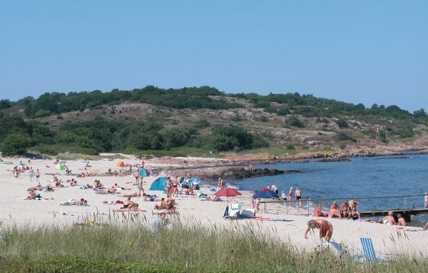 Holiday Home - Sandvig , Denmark - I56262 901