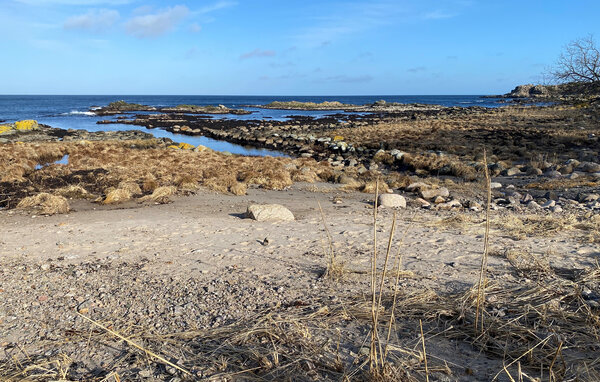 Semesterhus - Tejn , Danmark - I56403 901