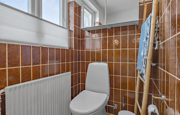Domy wakacyjne - Melsted , Dania - I57177 702
