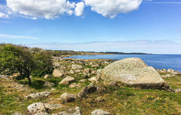 Vakantiehuis - Aarsdale , Denemarken - I58021 902
