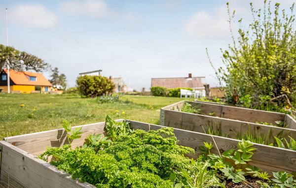 Ferieleilighet - Årsdale , Danmark - I58709 107