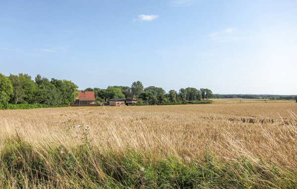 Ferienhaus - Hasle , Dänemark - I61321 902
