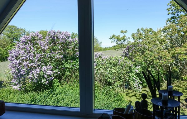 Feriehuse - Rutsker , Danmark - I61481 201