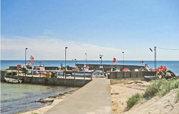 Domy wakacyjne - Østre Sømark , Dania - I61606 902