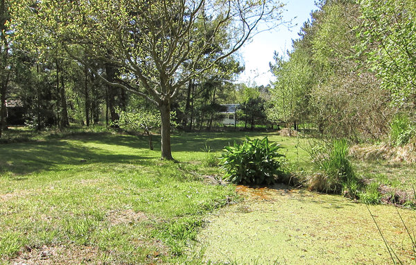Vakantiehuis - Vestre Sømark , Denemarken - I61608 9