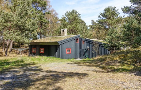 Ferienhaus - Dueodde , Dänemark - I62730 81