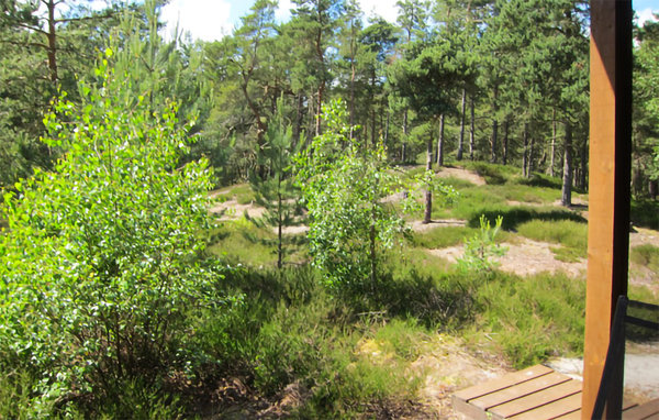 Location de vacances - Dueodde , Danemark - I62866 105