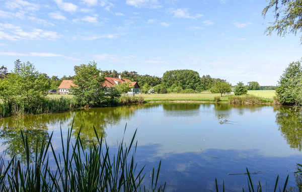 Apartament - Dueodde , Dania - I62867 107
