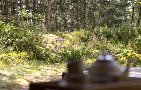 Location de vacances - Dueodde , Danemark - I62889 101