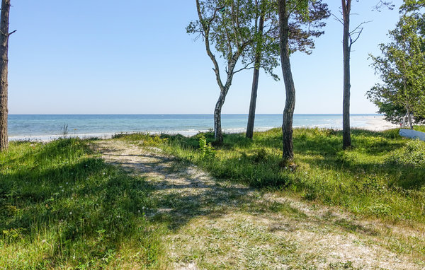 Domy wakacyjne - Snogebæk Strand , Dania - I63181 903