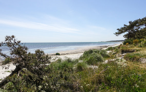 Domy wakacyjne - Snogebæk Strand , Dania - I63203 3