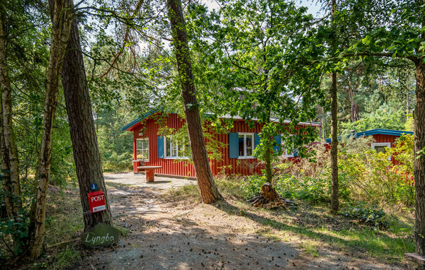 Domy wakacyjne - Snogebæk Strand , Dania - I63225 81