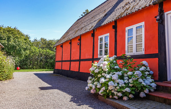 Location de vacances - Snogebæk Strand , Danemark - I63243 106