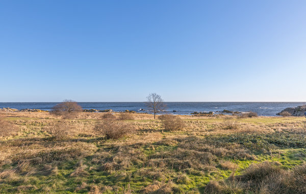 Vakantiehuis - Årsdale , Denemarken - I65831 901