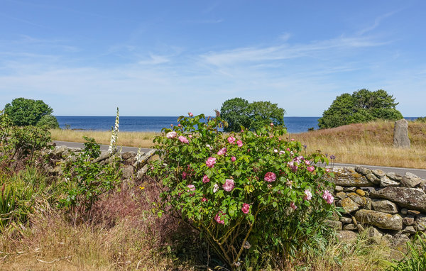 Feriehuse - Bølshavn , Danmark - I65840 905
