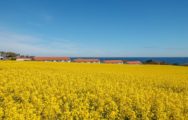 Appartement - Boesvang , Denemarken - I67335 203