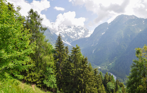 Ferieleilighet - Temù , Italia - IDD035 902