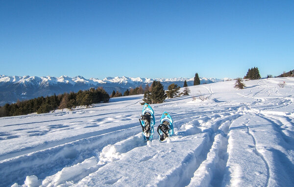Apartment - Canal San Bovo , Italy - IDD036 903