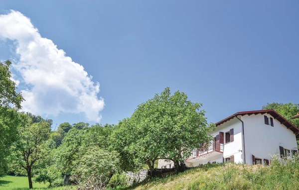Vakantiehuis Fico House