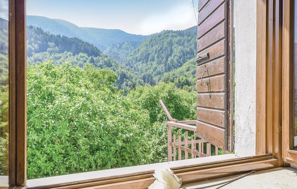 Vakantiehuis Fico House