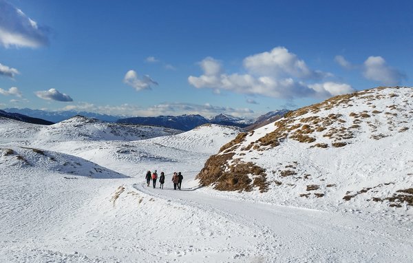 Feriebolig 