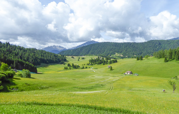 Semesterhus - Sovramonte , Italien - IDD337 903
