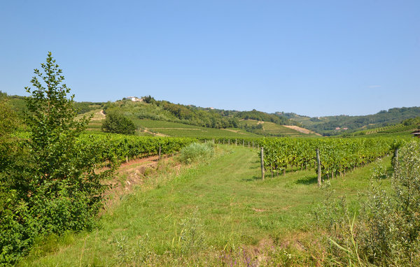 Apartament - Enemonzo , Wlochy - IDD342 901