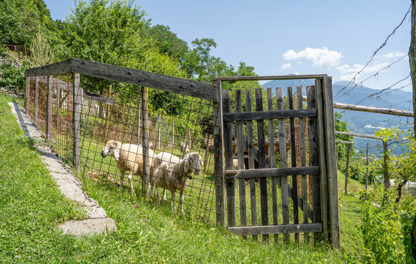 Casa vacanze - Telve di Sopra , Italia - IDD351 802