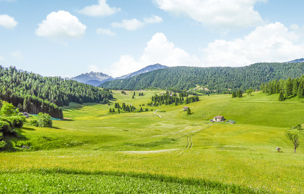 Ferienwohnung - Vason , Italien - IDD387 902